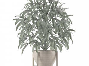single plant 17 3D-Modell