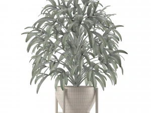 single plant 17 3D Model