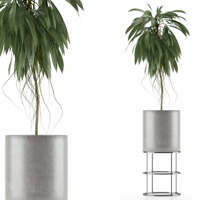 single plant 18 3D Model .c4d .max .obj .3ds .fbx .stl .blend 