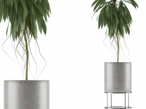 single plant 18 3D Model