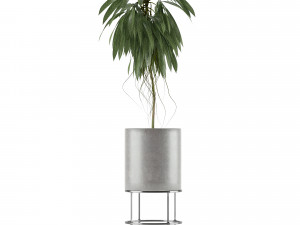 single plant 18 3D Model