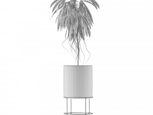 single plant 18 3D Model