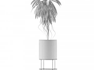 single plant 18 3D Model
