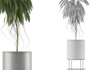single plant 18 3D Model