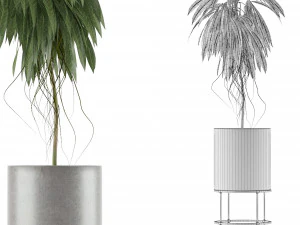 single plant 18 3D Model