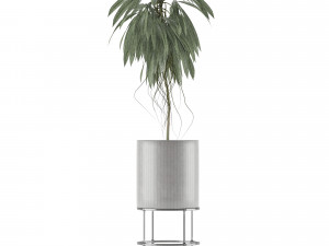 single plant 18 3D Model