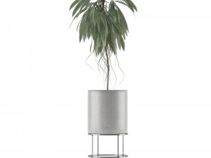 single plant 18 3D Model