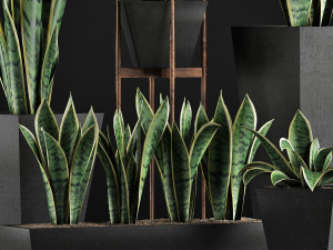 plants collection 29 3D Model