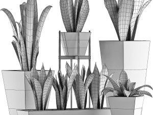 plants collection 29 3D Model