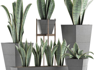 plants collection 29 3D Model