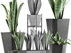 plants collection 29 3D Model