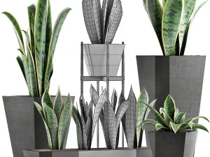 plants collection 29 3D Model