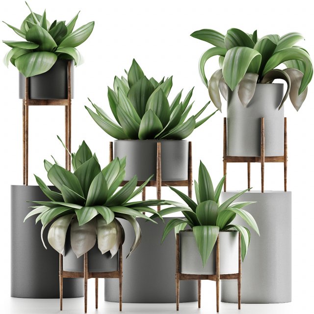 plants collection 30 Modello 3D .c4d .max .obj .3ds .fbx .stl .blend 