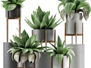 plants collection 30 3D Model