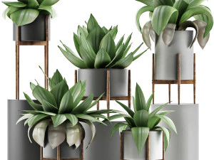 पौधों का संग्रह 30 3D मॉडल