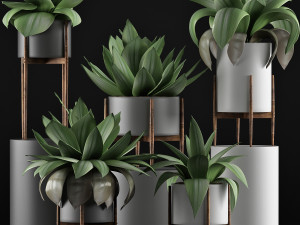 plants collection 30 Modello 3D