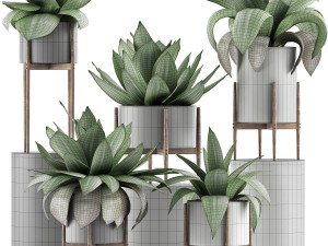 plants collection 30 Modello 3D