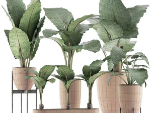 plants collection 31 3D Model