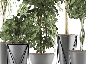 plants collection 32 Modelo 3D