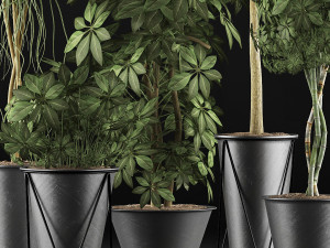 plants collection 32 Modelo 3D