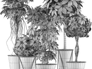 plants collection 32 Modelo 3D