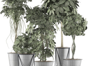 plants collection 32 Modelo 3D