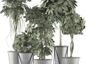 plants collection 32 3D Model