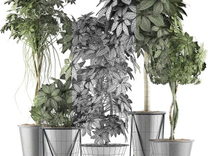 plants collection 32 3D Model