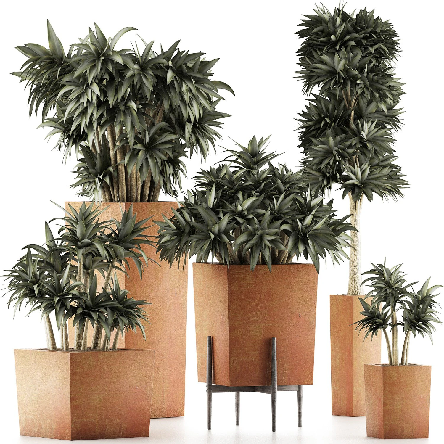 plants collection 33 3D Model .c4d .max .obj .3ds .fbx .stl .blend 