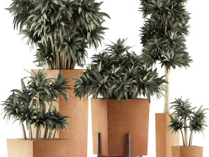 plants collection 33 3D Model