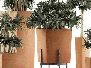 plants collection 33 3D Model