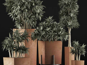 plants collection 33 3D Model