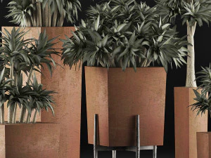 plants collection 33 3D Model