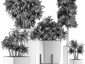 plants collection 33 3D Model