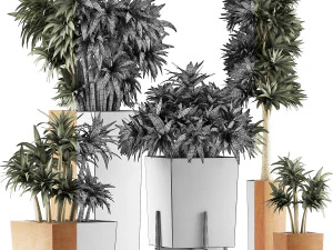 plants collection 33 3D Model