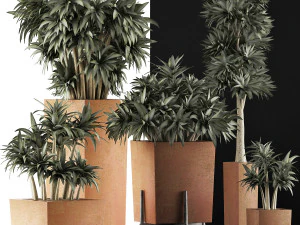plants collection 33 3D Model