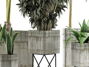 plants collection 34 3D Model