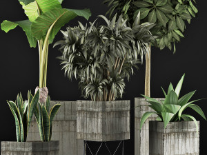 plants collection 34 3D Model