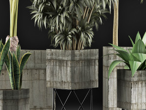 plants collection 34 3D Model