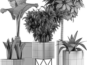plants collection 34 3D Model