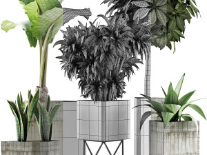 plants collection 34 3D Model