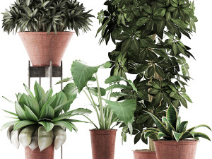 plants collection 35 3D Model