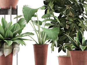 plants collection 35 3D Модель