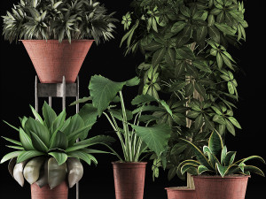 plants collection 35 3D Модель