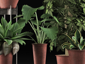plants collection 35 3D Модель