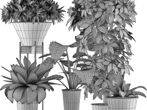 plants collection 35 3D Модель