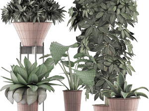 plants collection 35 3D Модель