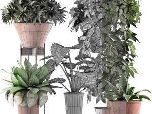 plants collection 35 3D Модель