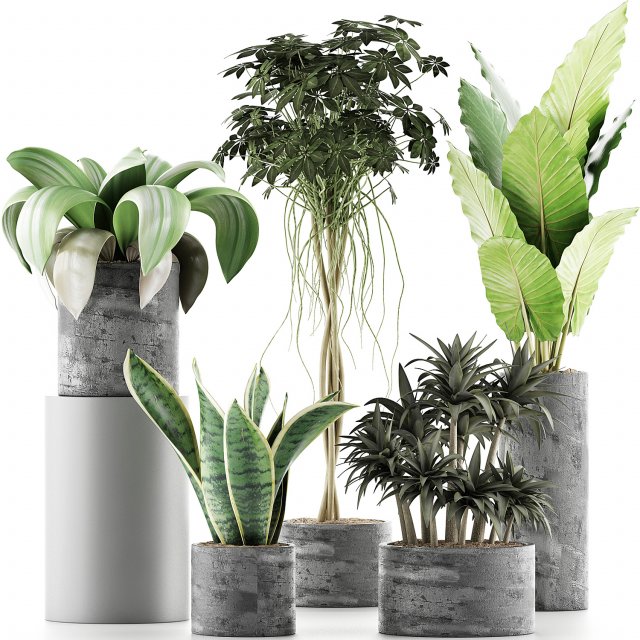 plants collection 36 3Dモデル .c4d .max .obj .3ds .fbx .stl .blend 
