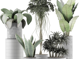 plants collection 36 3Dモデル